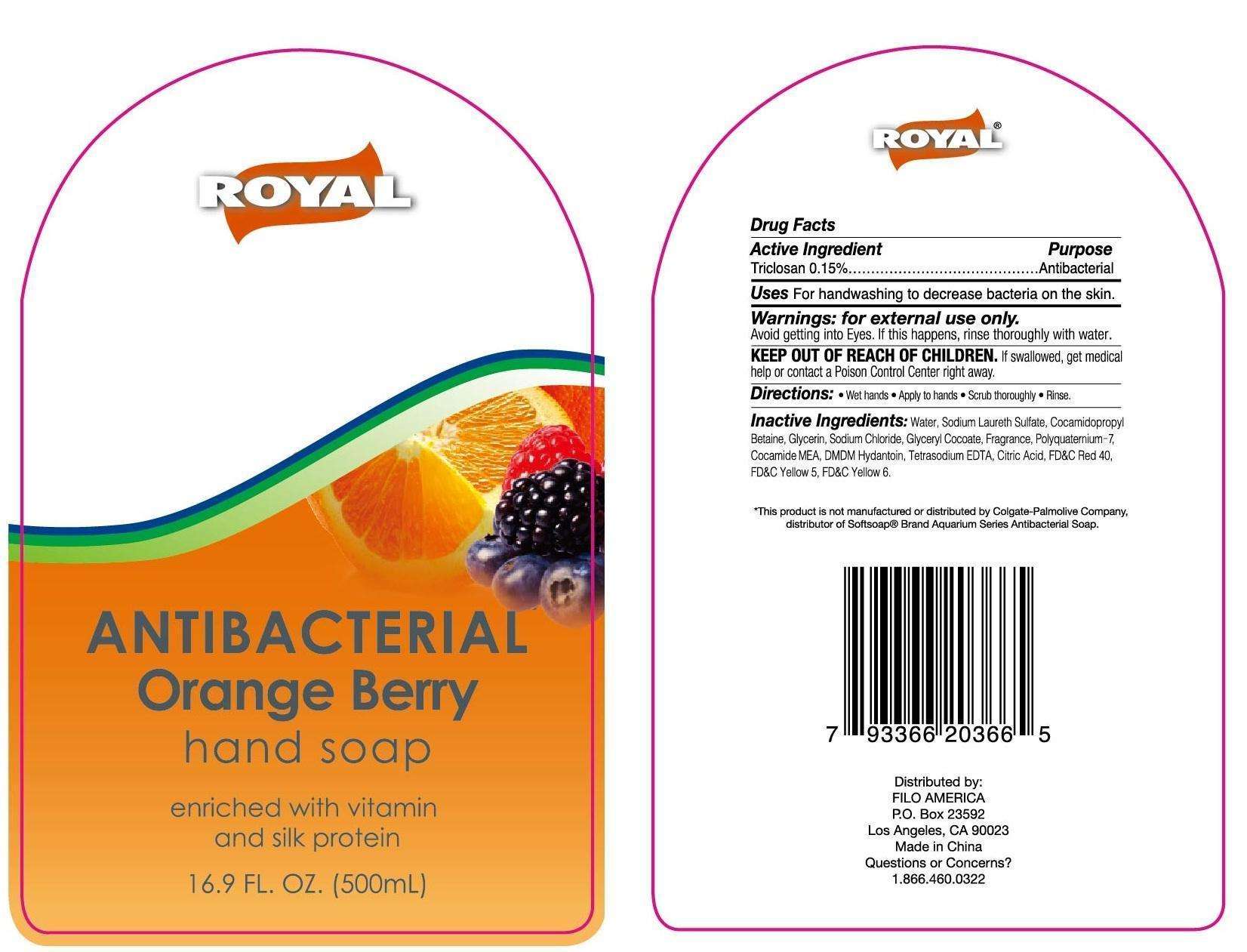 Royal Antibacterial Orange Berry Hand Cleanse